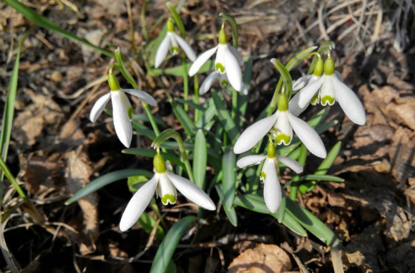  10 inspiráló idézet híres nőktől: feldobják a napodat
