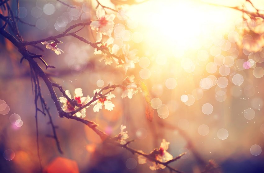  Készüljünk a tavaszra D-vitamin pótlással: kell a napfény!