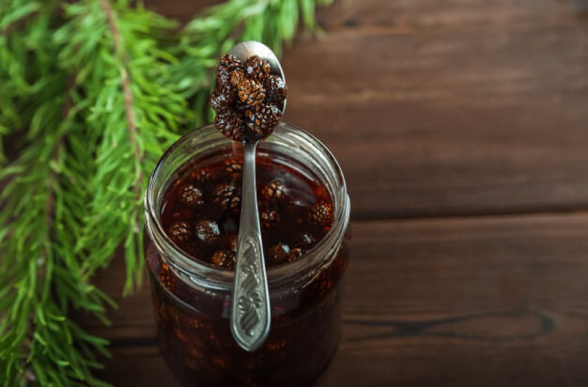 Csodás immunerősítők fenyőtobozból és fenyőrügyből: most kell elkészíteni télire