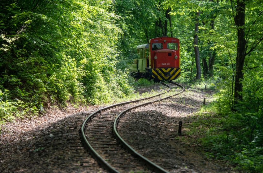 Mesebelei és kalandos magyarországi kisvasutak, amik csodás tájakra visznek