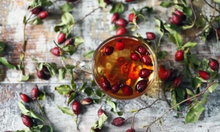 Hazai superfoodok: orvosi tanácsok az őszi vitaminraktározáshoz – smoothie recepttel