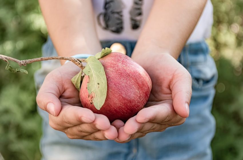  8 tipp a környezettudatos neveléshez