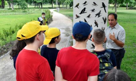 Átadták a Madárbarátok Tanösvényét: a diákok a Városliget madár- és növényvilágát ismerhetik meg