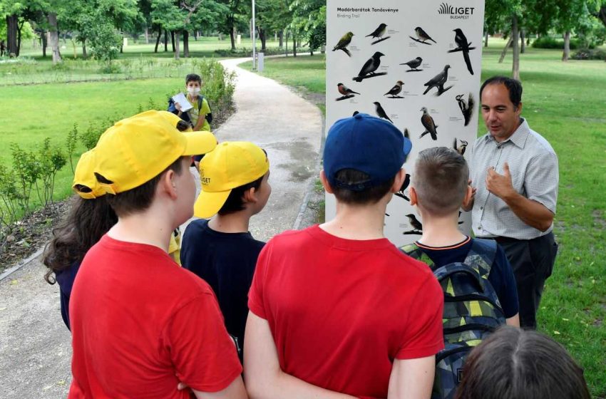 Átadták a Madárbarátok Tanösvényét: a diákok a Városliget madár- és növényvilágát ismerhetik meg