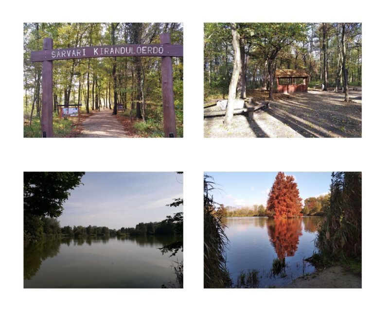 Pihentető ősz Sárváron: wellness, aktív kikapcsolódás, feltöltődés a Hotel Bassianában  &ndash; 3 &ndash; Anyanet