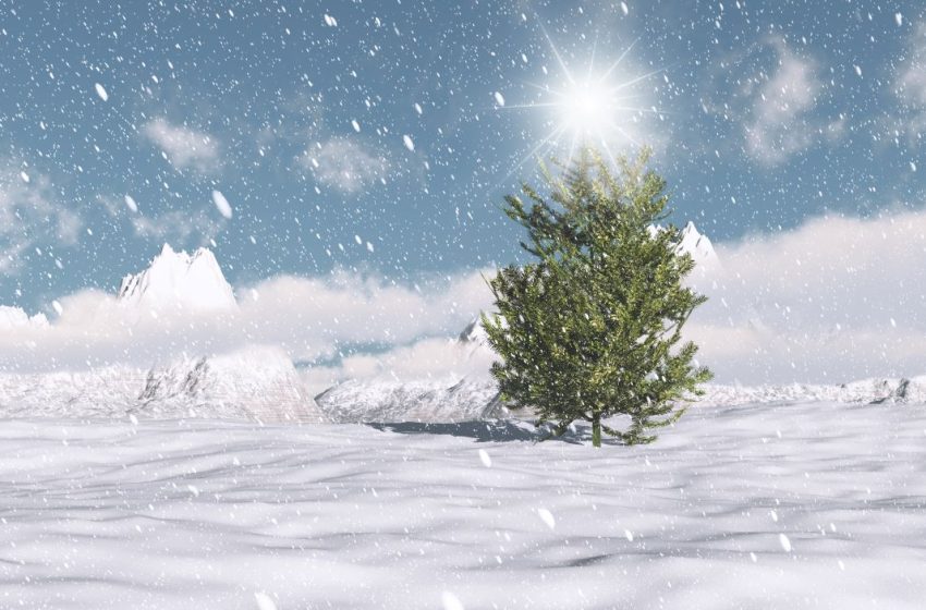  Adventi mesekalendárium 8. nap: – Móra Ferenc: A kíváncsi hópelyhek