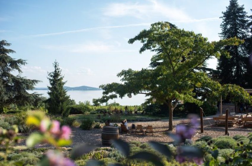  „Az én kertem” – rajz- és videópályázat általános iskolák számára