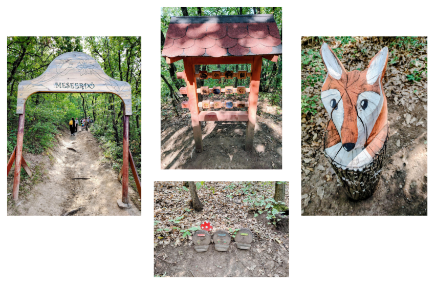  A törökbálinti Meseerdő igazi mesevilág: tündérek, manók, állatok nyomában