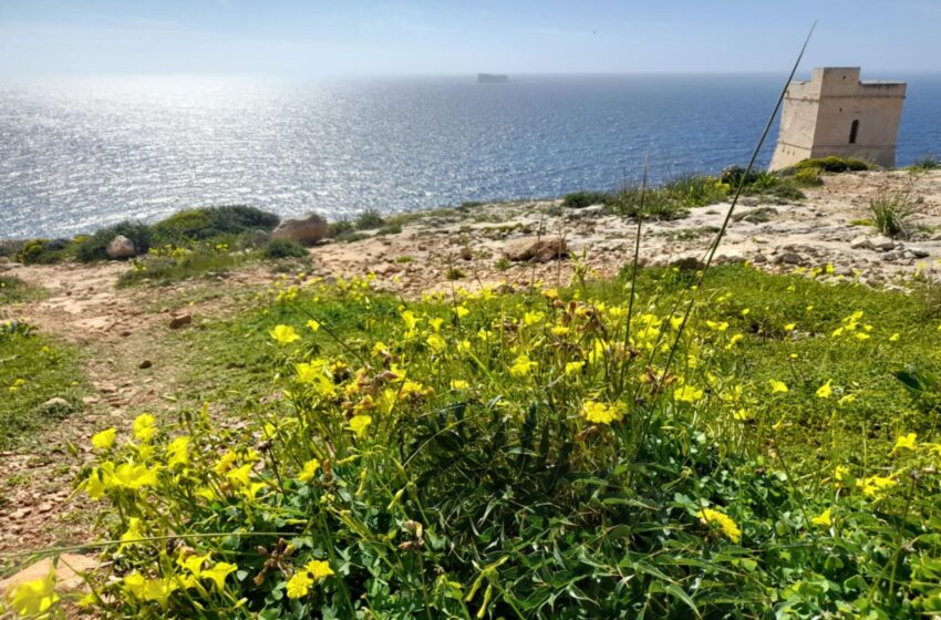  Máltán megtalálsz – egy hely, ahova elszökhetsz: ízelítő a sziget látnivalóiból